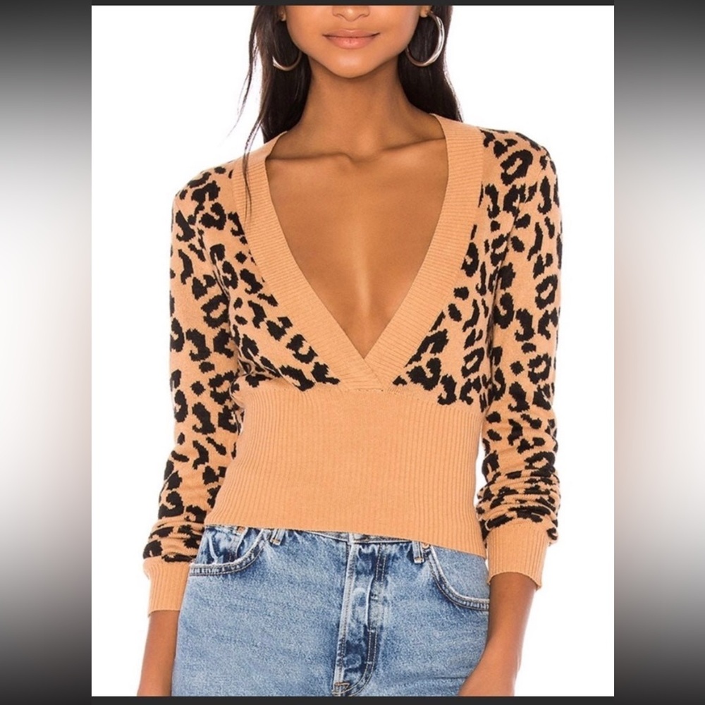 NBD Animal Print V Neck Sweater- Brand New!